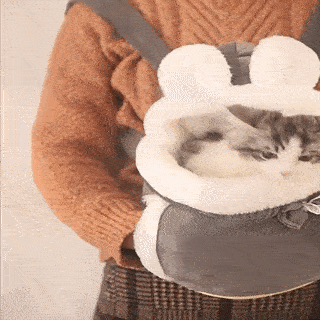 Kawaii süße warme Katzentragetasche