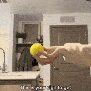Riesiges Tennisball-Hundespielzeug (24 cm Durchmesser)