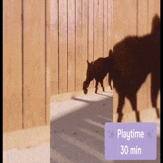 Tennis Tumble Puzzle Hundespielzeug