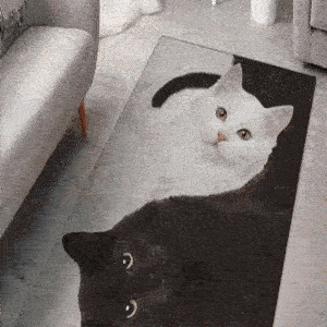 リビングルームの猫の装飾フロアマット