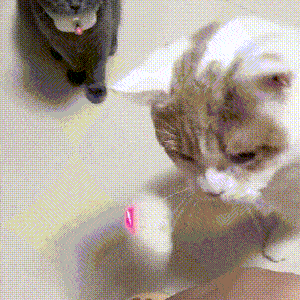 電動スマート楽しいLED首輪インタラクティブ猫のおもちゃ