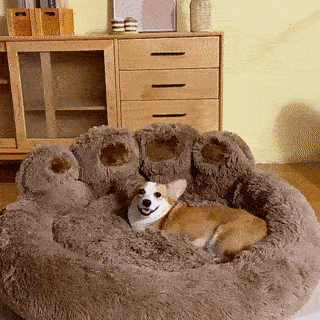 Duffy Bear Paw Dog Bed