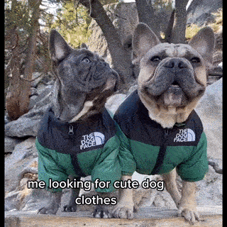 Die DogFace™ Pufferjacke