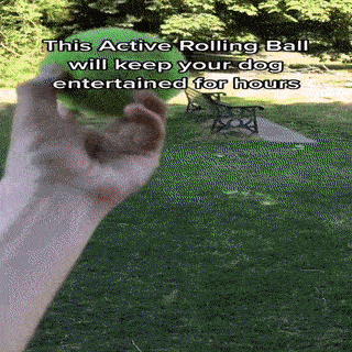 アクティブローリングボール犬用おもちゃ