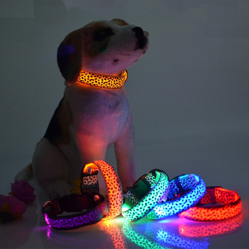 ヒョウ柄 LED 犬用首輪