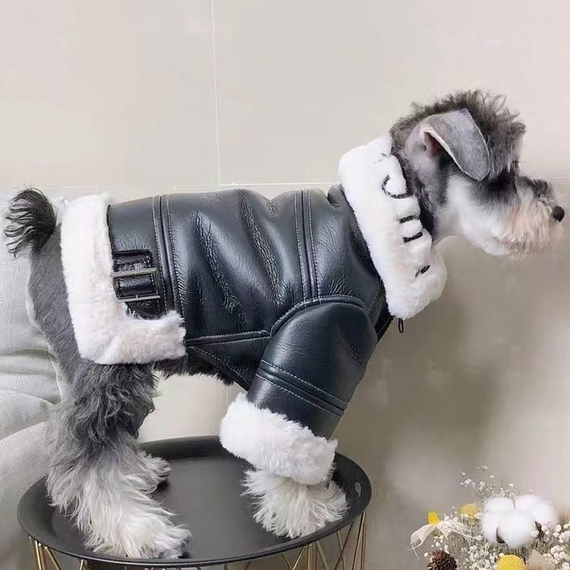 Premium Dog Leather Motorcycle Jacket