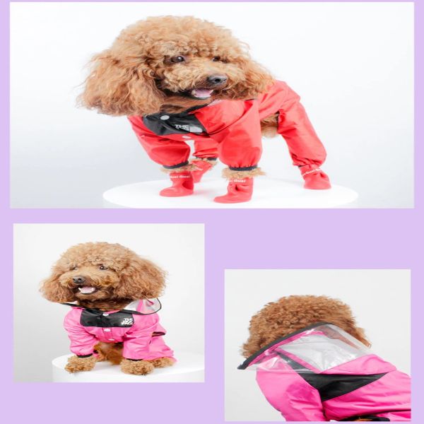 DogFace™ Raincoat