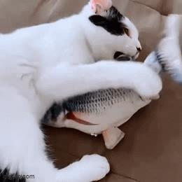 Cats Toy