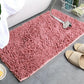 Muddy Paw Mat