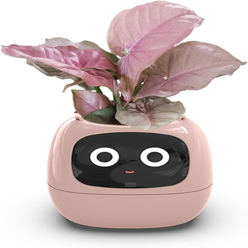 AI Smart Planter Flower pot