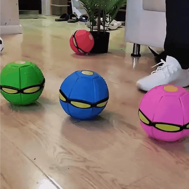 2023 Frisbee Ball Dog Toy – Barkermeow