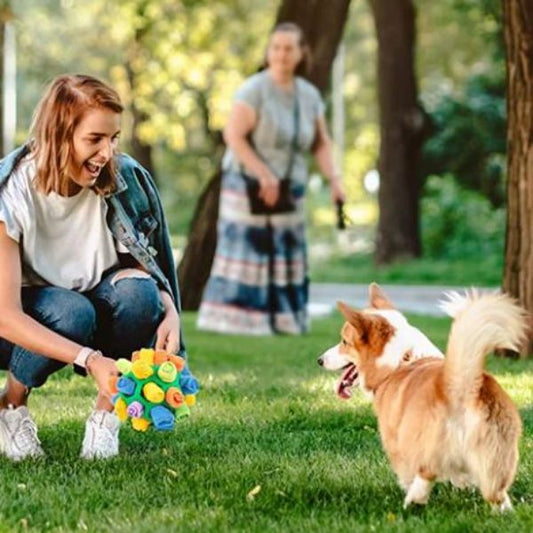 犬用スナッフルボールおもちゃ