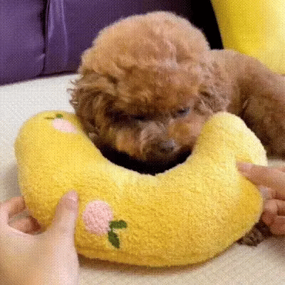 Pup Calming Pillow – Barkermeow