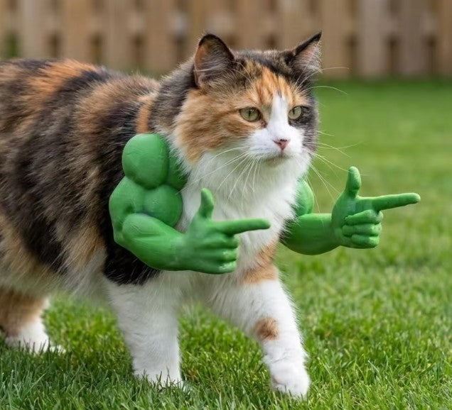 ドラキュラ猫コスチューム