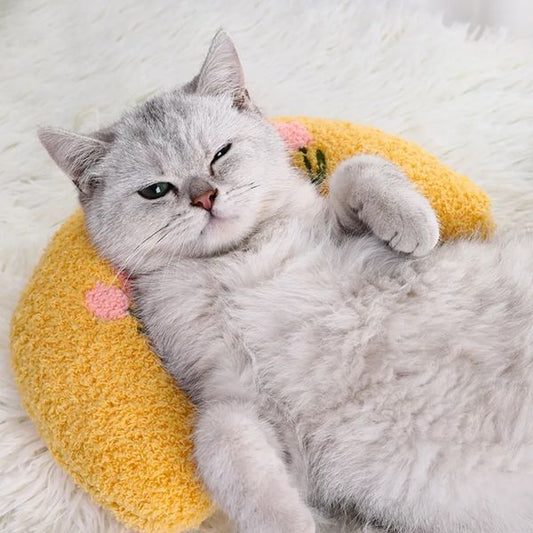 KOSTENLOSES Beruhigungskissen für Katzen (GESCHENK) 