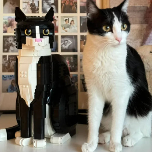 Tuxedo Brick LE-GO Cat