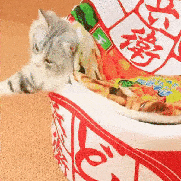 Japanese Ramen Noodle Cup Dog Bed Barkermeow
