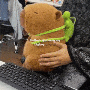 カピバラぬいぐるみ