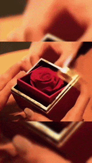 ROSEBOX Drehbare Schmuckschatulle mit konservierten Rosen 
