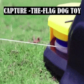 Swiftstrike Capture-The-Flag Dog Training Toy