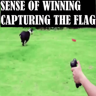 Swiftstrike Capture The Flag Dog Training Toy Barkermeow