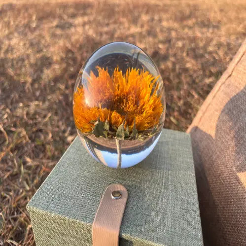 Ewige Sonnenblumenblüten Kristallkugel 