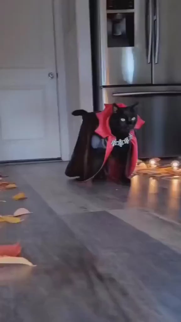 Dracula Cat Costume Barkermeow