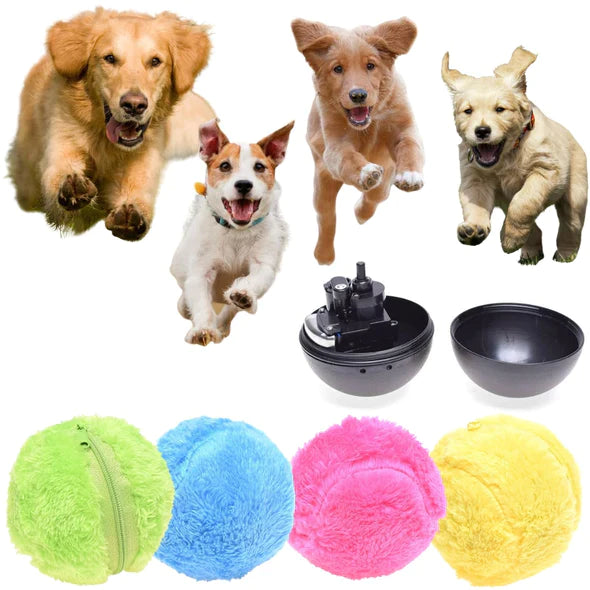 Active Rolling Ball Dog Toy