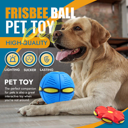 2023 Frisbee Ball Dog Toy