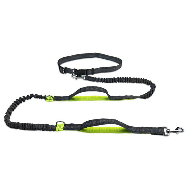 barkville hands free dog leash Hands Free Dog Leash – Barkermeow