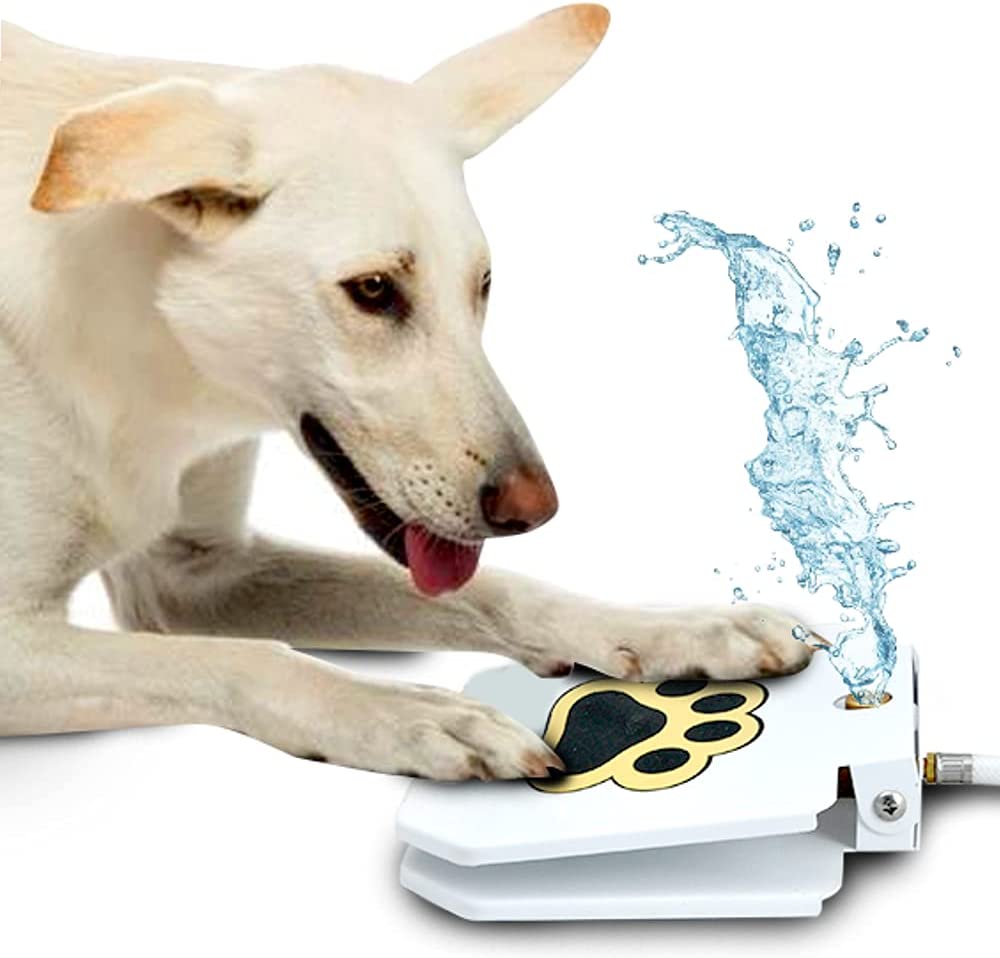 dog water pedal Automatic Dog Paw Water Fountain Dispenser – Barkermeow