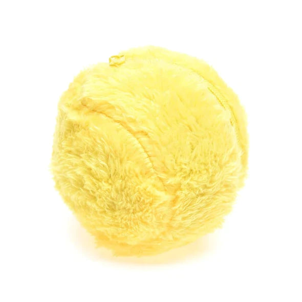 Active Rolling Ball Dog Toy