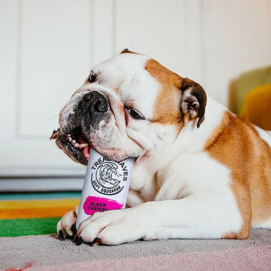 Thread Wave Dog Squeaky Toy ( Multiple Falvour)