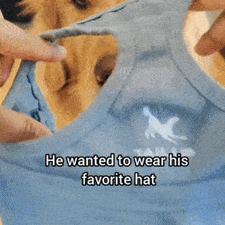 Baseball Cap Doggo™ Visor Hat